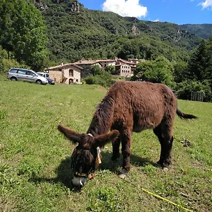 Mas La Cabanya Xalet De Muntanya Chalet